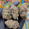 Guppy pink for sale in toronto