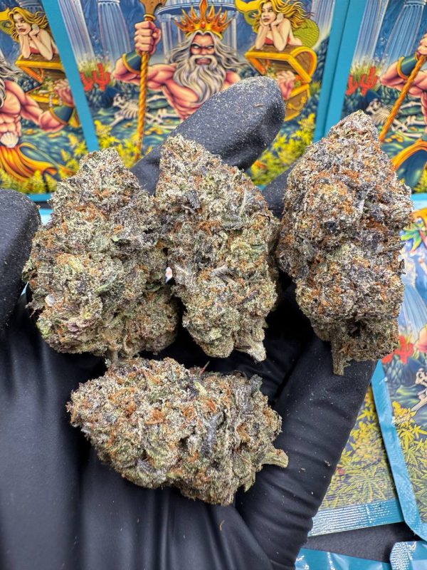 Guppy pink for sale in toronto