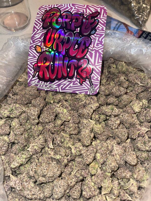PURPLE URPLE RUNTZ FOR SALE